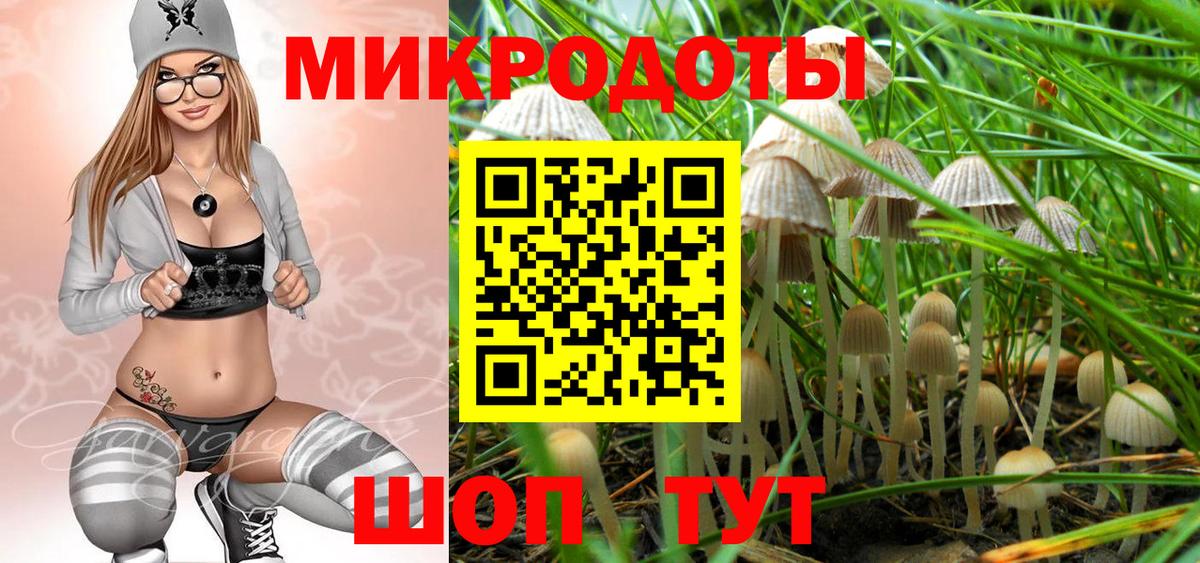 Альметьевск  Псилоцибиновые грибы Magic Shrooms  Вход с VPN 