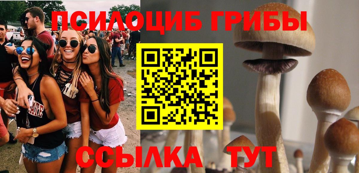 Псилоцибиновые грибы MAGIC MUSHROOMS Альметьевск